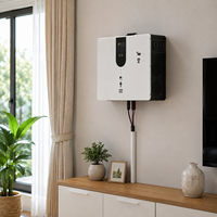 Système de stockage d'énergie intelligent pour la maison 1kW 2kW 2kWh 4kWh, batterie solaire hybride portable avec charge PV AC et écran LCD intelligent