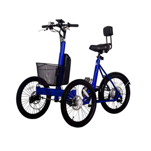 Tricycles électriques pour le transport de marchandises, les courses, les voyages et usages multiples, pour transporter des marchandises et améliorer la vie quotidienne - Product Image 1