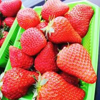 Fraise