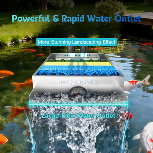 Système <span class=keywords><strong>de</strong></span> filtration d'<span class=keywords><strong>eau</strong></span> pour aquarium et bassin à poissons Koi HatchHives haute performance pour améliorer la qualité <span class=keywords><strong>de</strong></span> <span class=keywords><strong>l</strong></span>'<span class=keywords><strong>eau</strong></span> <span class=keywords><strong>de</strong></span> <span class=keywords><strong>l</strong></span>'aquarium - Product Image 3