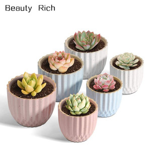 Piccolo Succulente Planter Pot Strisce Cactus Supporto con Foro di Scarico-Giardinaggio Desktop di Casa Ufficio Davanzale della Finestra Della Decorazione del Regalo - Product Image 1