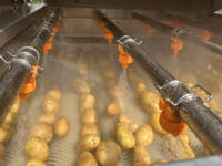 Verse Palmdadels Borstelreinigingsmachine Dateert Wasdrooglijn Maker Sorteermachine Voor Dadels