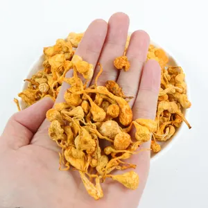 Cordyceps Militaris สารสกัดจากธรรมชาติที่ดีที่สุดที่กินได้แห้งเห็ดถั่งเช่า Militaris