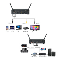 Draagbare karaoke microfoon voor thuisgebruik, geschikt voor feesten, met dynamische microfoon, TV-box, optische ingang, coaxiale uitgang, reverb en draadloze functie.