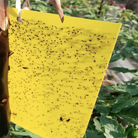Gele dubbelzijdige kleefstrips insectenlijmplaten voor bladluizen, wittevliegen, schimmelmuggen, fruitvliegen, kas- en tuinplaagbestrijding