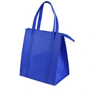 Sac isotherme Icom Fanny Tesla en toile cirée avec poignée, à deux compartiments, en EPE, pour tabouret, sac à bandoulière, sac isotherme pour lapin - Product Image 1