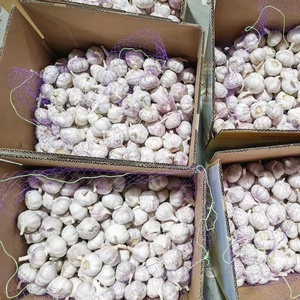 Fornitore di Aglio Fresco all'Ingrosso, Confezione da 10kg in Cartone, Aglio Bianco Normale da 5,5cm per Importatori, Fabbrica Cinese Ajo Ail - Product Image 3