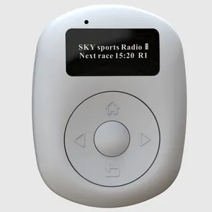 AUおよびEU市場向けの屋外プレーヤー用のスポーツポケットサイズの充電式fmラジオ/ラジオDAB