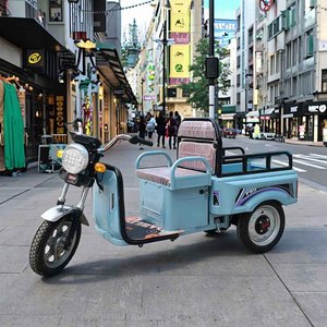 Tricycle <span class=keywords><strong>Cargo</strong></span> <span class=keywords><strong>Électrique</strong></span> Polyvalent Mini 2025 pour Personnes Âgées à Vendre - Product Image 1