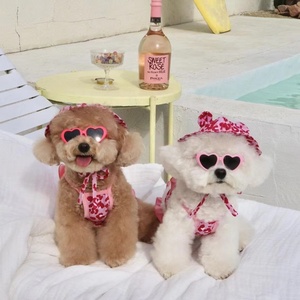 Women Sexy Dog - Alternative Sex Toys for BDSM Games