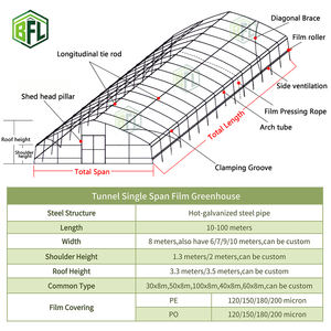 Grande serre tunnel <span class=keywords><strong>en</strong></span> film plastique à portée unique pour les semis de légumes et de fleurs - Product Image 2