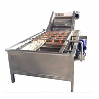 Industriële appel-cranberry-fruit-groente-bubbelwasser motor sojabonen automatische reiniging hoge efficiëntie 304 roestvrij staal