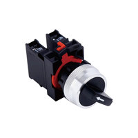 ELEWIND Commutateur à bouton-poussoir 2NO 22mm 3 positions (PB226-20X/31)