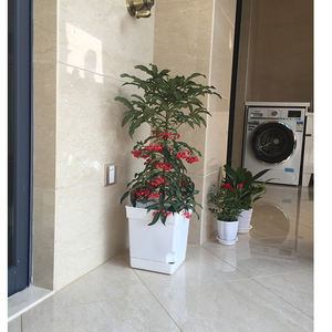 Pots à absorption d'eau automatique créatifs - Product Image 2