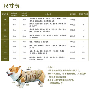 Ensemble gilet et chapeau de camouflage pour animaux de compagnie, vêtements d'extérieur à séchage rapide pour Corgi, bouledogue français, petits chiens, printemps, été, automne - Product Image 4