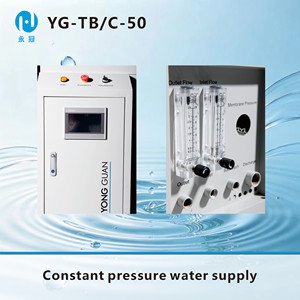 Purificateur d'eau compact Yong Guan certifié CE ISO par un fabricant vérifié, système de traitement complet 50-350 l/h, garantie 1 an - Product Image 4