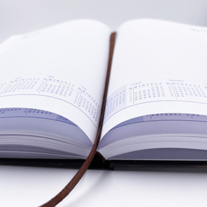 Thiết Kế Mới Văn Học Cổ Điển Bìa <span class=keywords><strong>2025</strong></span> Lịch Cuốn Sách Tạp Chí Máy Tính Xách Tay Kinh Doanh Kế Hoạch Tùy Chỉnh Sữa - Product Image 6