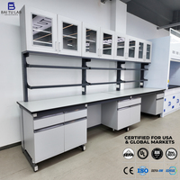 Banc de travail de laboratoire sur mesure avec armoire de base, étagère à réactifs, plan de travail en résine phénolique, structure en C, bois et acier pour laboratoire
