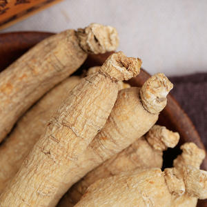 Прямые поставки с завода: Сушеный необработанный женьшень Си Ян Шэнь, чистый натуральный рассыпной чай для здоровья, оптом, чай для поддержания здоровья - Доступно OEM и низкий MOQ - Product Image 3