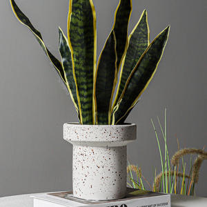Grand pot de plantes succulentes ananas vert Pot de fleurs en ciment nordique moderne minimaliste pour le sol ou la suspension - Product Image 3