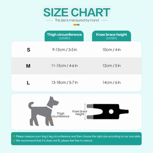 Rodillera Profesional para <span class=keywords><strong>Perros</strong></span>, Soporte para LCA y LCC, Envoltura Ortopédica para Mascotas, Alivio del Dolor por Artritis y Recuperación Postoperatoria - Product Image 6