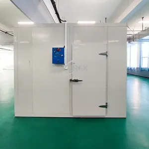 Good Supplier 20ft deeply assembled freezer cold room commercial deep freezer for yogurt