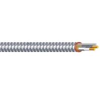 Câble d'alimentation blindé en aluminium BX 12/2 12/3 14/2 14/3