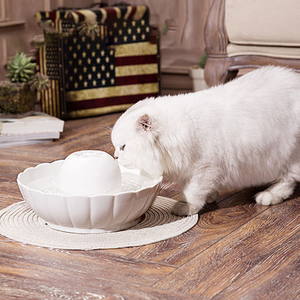 <strong>Cat</strong> Water Dispenser Pet Bowl Feeder <strong>Ceramic</strong> Water Bottle Automatic Drinking <strong>Fountain</strong> - Product Image 3