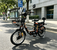 Vélo électrique deux places avec dossier et panier avant en fer, longue autonomie, batterie au plomb-acide, vélo électrique de ville