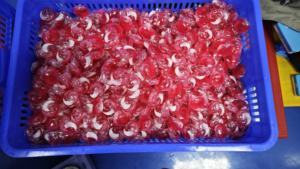 <span class=keywords><strong>CHANO</strong></span> 20g venta al por mayor de perlas de fragancia líquida de doble capa 4 en 1 cápsulas chinas detergente - Product Image 3