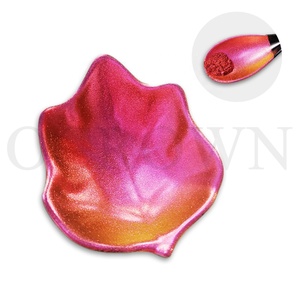 Pigment de revêtement de peinture caméléon à bas <span class=keywords><strong>prix</strong></span> Pigment de résine époxy caméléon - Product Image 5