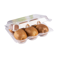 Boîte d'emballage de fruits en plastique de qualité alimentaire, boîte d'emballage de Kiwi à clapet pliable rectangulaire