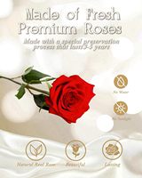 Bouquet de roses LED préservées - Fleurs éternelles pour la fête des mères et les cadeaux d'anniversaire, roses rouges pour femmes, maman, petite amie