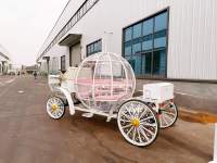 Chariot de Mariage Cendrillon Citrouille Rose Métallique - Transport Spécial à Vendre