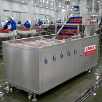 Commerciële belwasmachine voor fruit, groenten, appel, olijf, chili, bladgroenten, voedselverwerkingsapparatuur