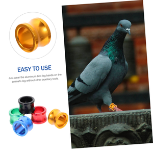 Bague en aluminium de 8 mm pour oiseaux, perroquets, pigeons – Accessoires pour pattes, entraînement au vol, identification - Product Image 2
