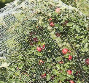 חוזק נוסף פוליאתילן אנטי-ציפור רשת חקלאית מוצר פלסטיק להגנה על בוסתן מפני ציפורים - Product Image 1
