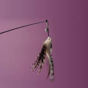 Interaktiver Elastischer Katzenwedel <span class=keywords><strong>Teaser</strong></span> Ersatzanhänger mit Federschwanz für Drinnen, zum Spielen, Jagen und Trainieren für Kätzchen - Product Image 6