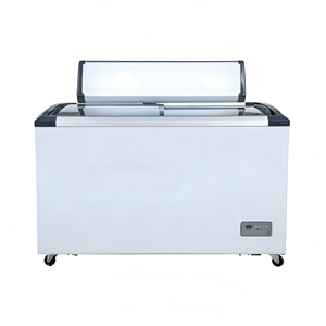 Congelador Horizontal Comercial para Supermercado, 110V60Hz, Puerta Curva de Vidrio Deslizante, <span class=keywords><strong>308L</strong></span> - Product Image 2