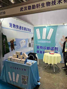 Test rapide de l'antigène du virus de la rage (RBV Ag) Kit de test de diagnostic vétérinaire - Product Image 4