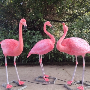 Parque temático simulación animales modelo flamenco - Product Image 1