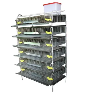 Commercial H type metal quail layer cage for sale automatic design layer quail cages feeding system