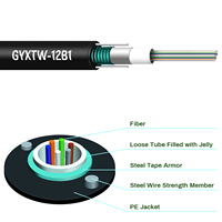 Factory Supply OEM Brand GYXTW Fiber Optic Cable 2-12 Cores Single Mode/Multimode Central Loose Tube Design ODN FTTH Network