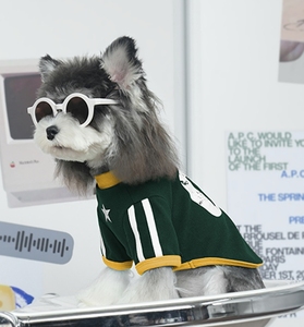 Haustier Kleidung Neue <span class=keywords><strong>Designer</strong></span> Mode Kleine Mittelgroße Hunde Hoodie Offene Schnalle Zwei Fuß Großbuchstabe 07 Pullover Pullover Shirt - Product Image 2