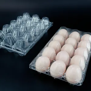 15 Holes Plastic Chicken Egg Packaging Tray Plastic Tray For Chicken Eggs Pet Plastic Egg Trays