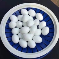 Fournitures pour pigeons : œufs artificiels en plastique, cages, nids, anneaux, aides à l'élevage des pigeons de course et d'élevage aviaire