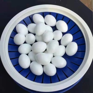 Duivenbenodigdheden Kunststof Kunstmatige Eieren Kooien Nestjes Ringen Ren Duivenkweek Vogelkweek Hulpmiddelen - Product Image 3