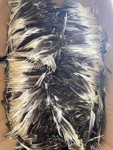 Bán buôn nhuộm chùm ngỗng & Vịt con trỏ lông cho thời trang trang trí - Product Image 6