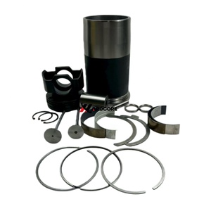 Pièces de réparation de moteur d'excavatrice XUNPO D9508 de haute qualité, neuves, 9078048, chemises, pistons, segments de piston et roulements - Product Image 2
