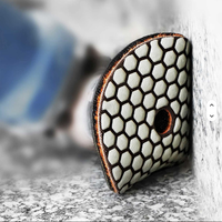 Tampons de polissage diamantés à sec de 5 pouces avec design le plus vendu pour polisseuse manuelle